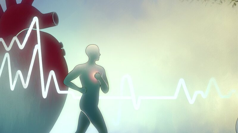 Cum influențează antrenamentul sportiv pulsul și tensiunea arterială