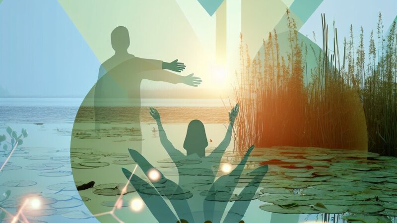 Legislația privind protecția apelor și ecosistemelor acvatice în România